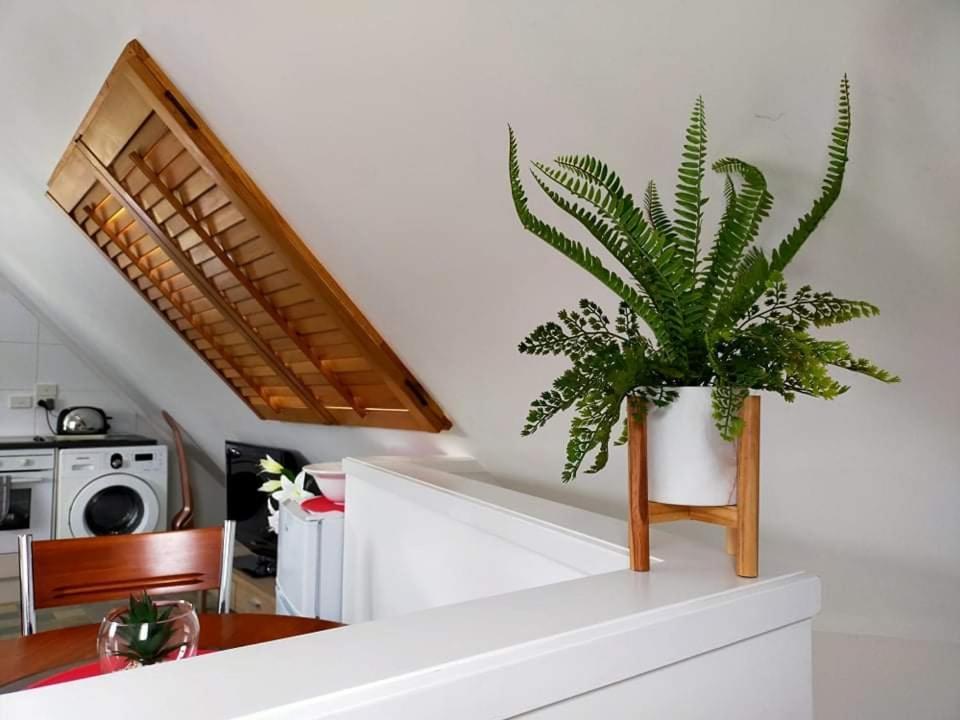 Studio On Golders - Two Minutes To The Lake And Quick Drive To Town! Appartamento Lago Lago Taupo Esterno foto